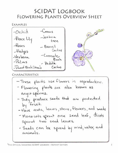 Living Books Curriculum - The Sassafras Science Adventures Volume 3: Botany Printed Combo