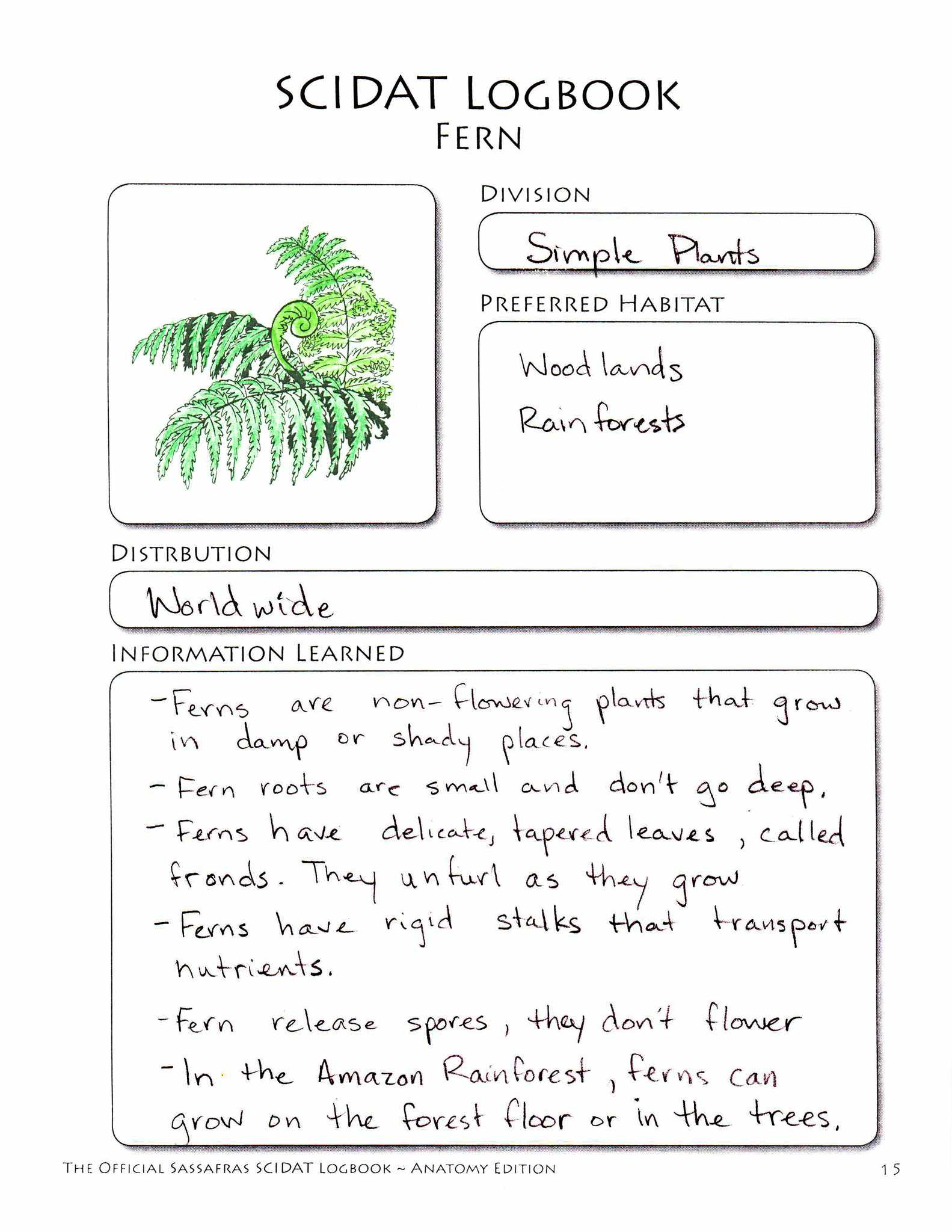 The Sassafras Science Adventures Volume 3: Botany Printed Combo | Elemental Science