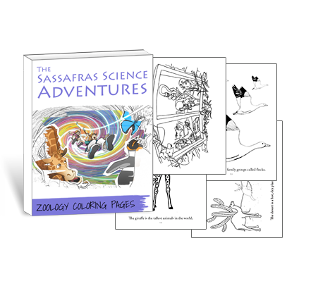 Sassafras Science Zoology Coloring Pages by Elemental Science