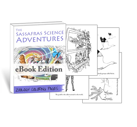 Sassafras Science Zoology Coloring Pages by Elemental Science