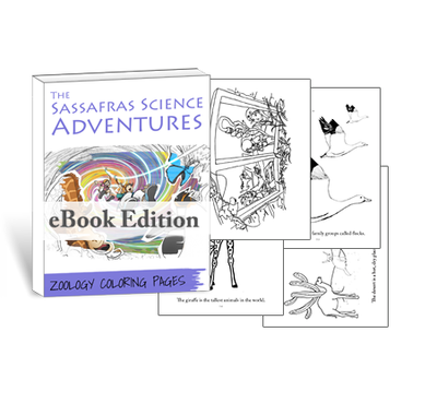 Sassafras Science Zoology Coloring Pages