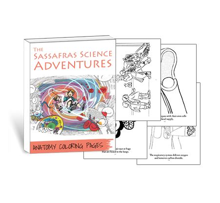 Sassafras Science Anatomy Coloring Pages by Elemental Science