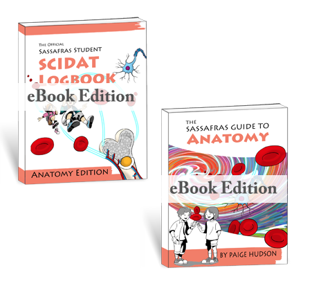 The Sassafras Science Adventures Volume 2: Anatomy | Elemental Science