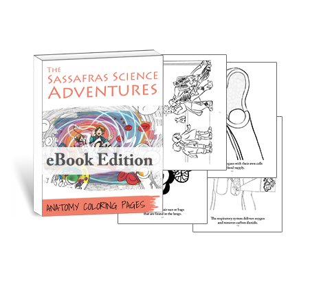 Sassafras Science Anatomy Coloring Pages by Elemental Science