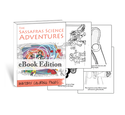 Sassafras Science Anatomy Coloring Pages