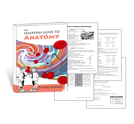 The Sassafras Guide to Anatomy | Elemental Science