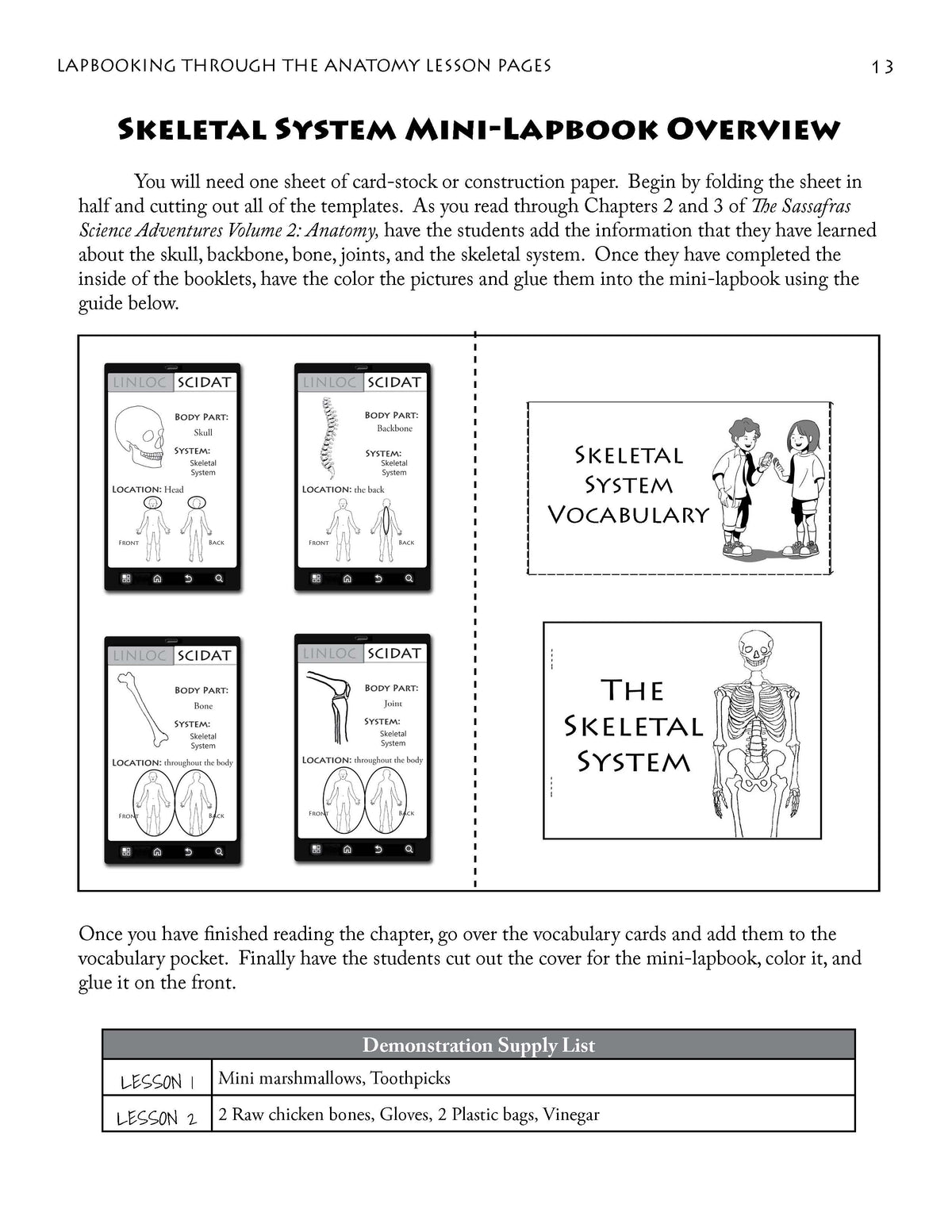 Lapbooking through Anatomy with the Sassafras Twins