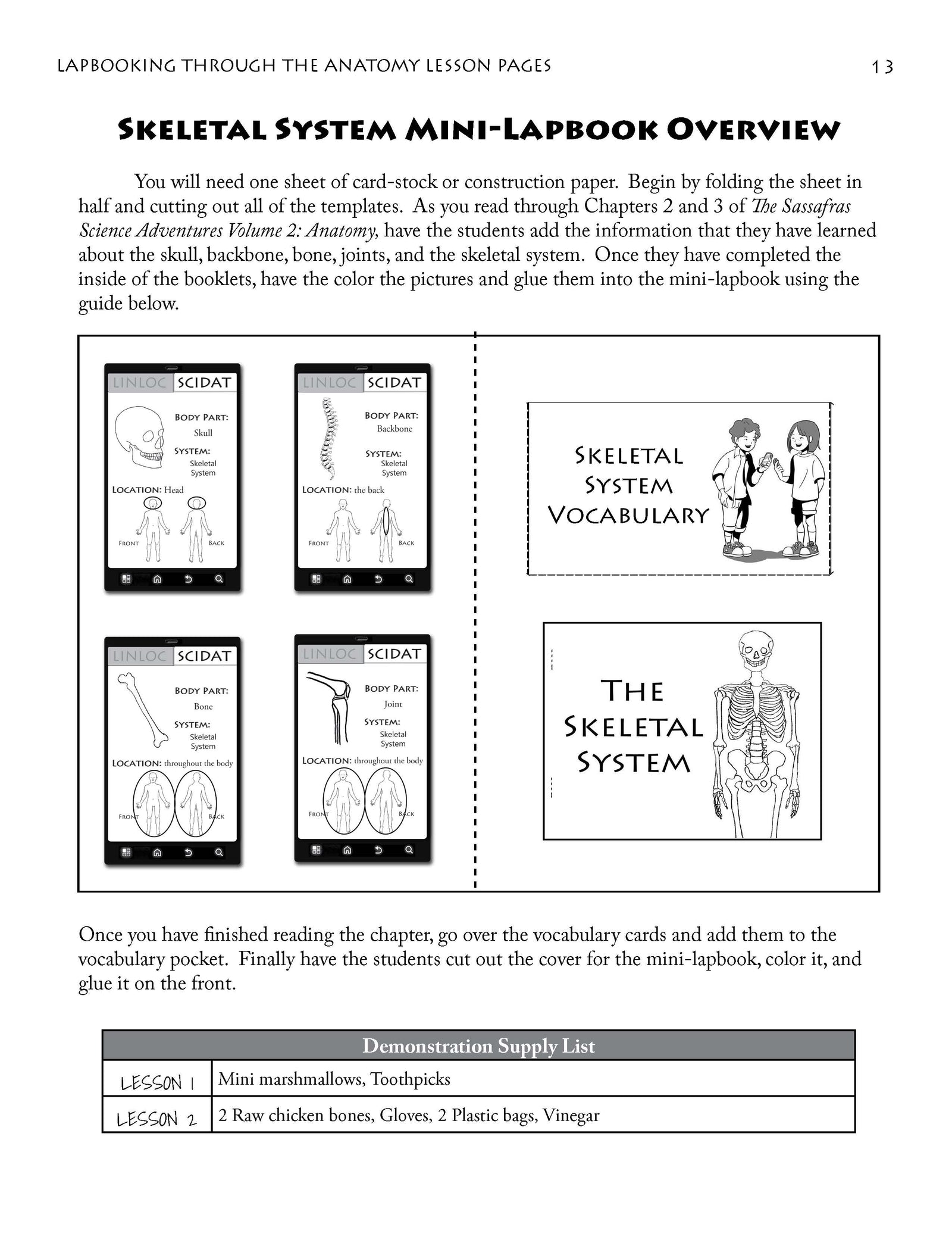 Lapbooking through Anatomy with the Sassafras Twins