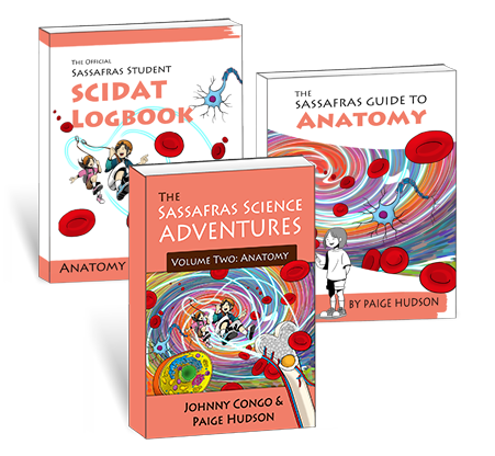The Sassafras Science Adventures Volume 2: Anatomy Printed Combo | Elemental Science