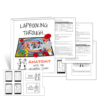 Lapbooking through Anatomy with the Sassafras Twins
