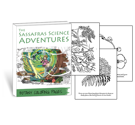 Sassafras Science Botany Coloring Pages by Elemental Science