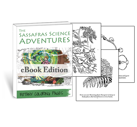 Sassafras Science Botany Coloring Pages by Elemental Science