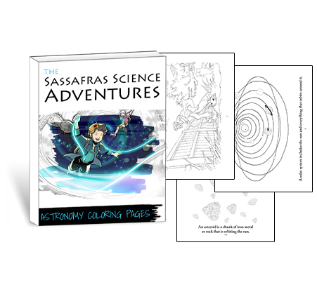Sassafras Science Anatomy Coloring Pages by Elemental Science