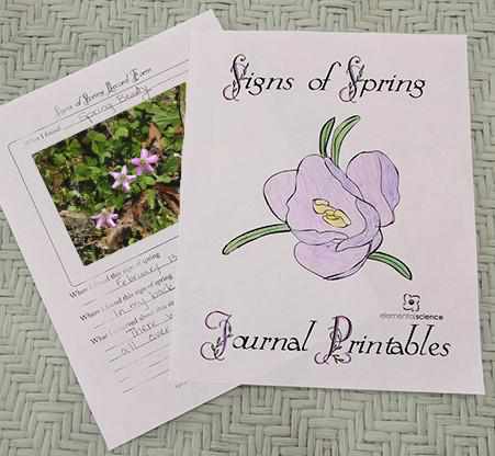 Spring Journal/book Signs of Spring Journal | Free Printable | Elemental Science